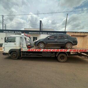 Polícia Civil prende motorista que atropelou e matou cachorro e não prestou socorro, em Bom Jesus de Goiás