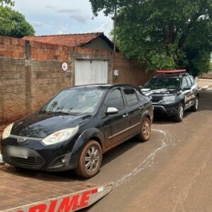 Polícia Civil prende motorista que atropelou e matou cachorro e não prestou socorro, em Bom Jesus de Goiás