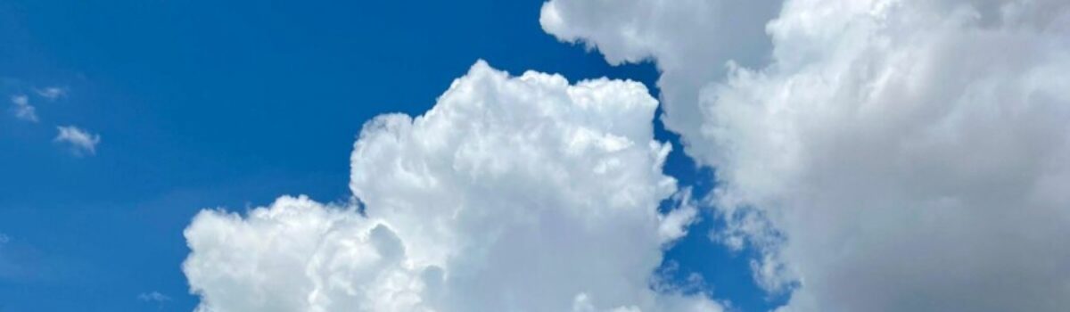 PCGO recupera rebanho bovino de vítima alvo de golpe ocorrido em Mineiros