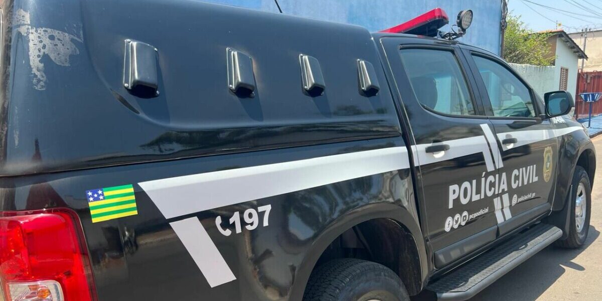 Operação da PCGO apreende armas de fogo em Trindade