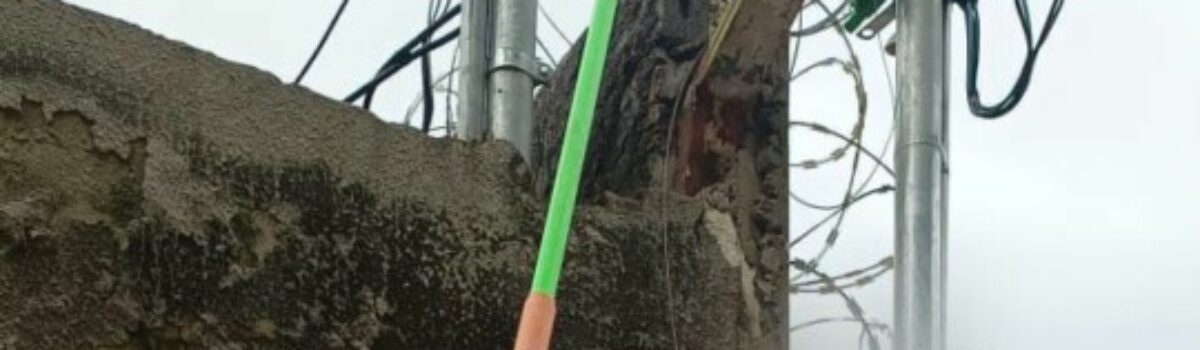 Equipes prendem em flagrante suspeito de furtar energia em lavanderia de Goiânia