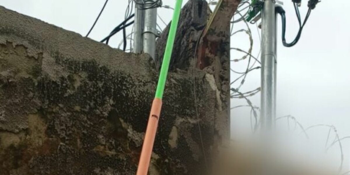 Equipes prendem em flagrante suspeito de furtar energia em lavanderia de Goiânia