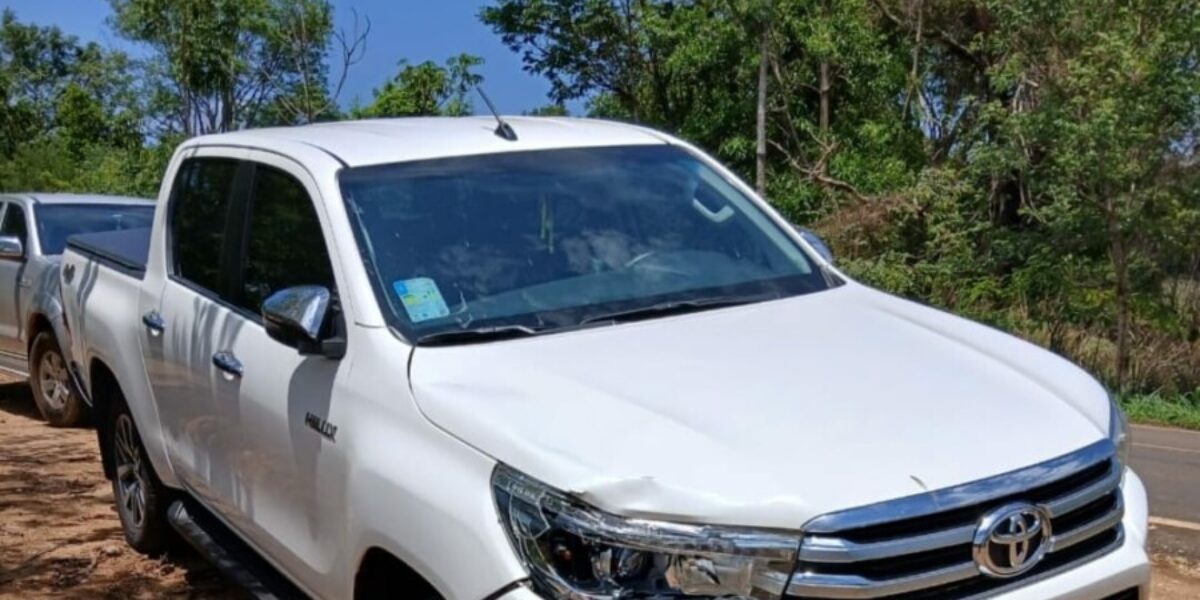 PC e PM prendem em flagrante dono de caminhonete que atropelou idoso em rodovia de Taquaral de Goiás