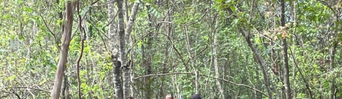 PCGO recupera caminhão-tanque furtado do aterro sanitário de Piracanjuba