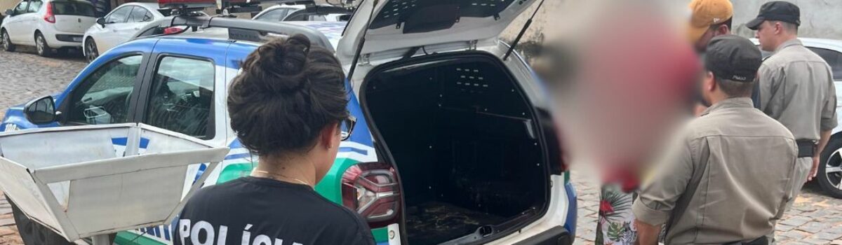 PCGO e PMGO prendem homem que ameaçou a mãe e vendeu objetos da casa da vítima