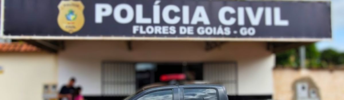 PCGO prende homem que esfaqueou a filha de 9 meses e atentou contra a vida da companheira em Flores de Goiás