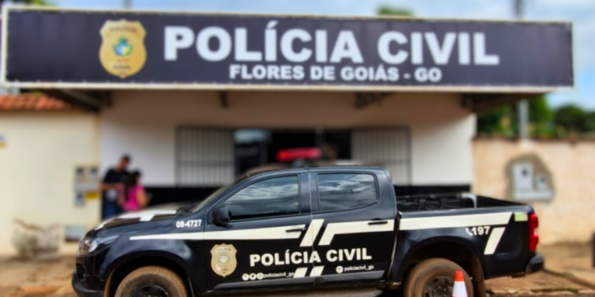 PCGO prende homem que esfaqueou a filha de 9 meses e atentou contra a vida da companheira em Flores de Goiás