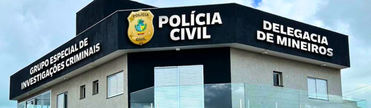 PCGO prende em Mineiros investigado por diversos furtos na cidade