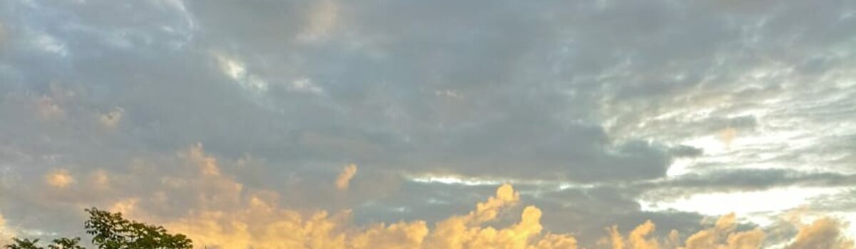 PCGO prende homem por estupro e lesão corporal contra ex-companheira em varjão