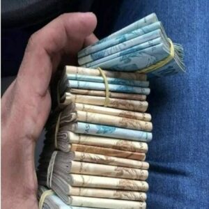 PCGO cumpre 8 medidas judiciais em MT e MS por estelionatos de quase R$ 3 milhões