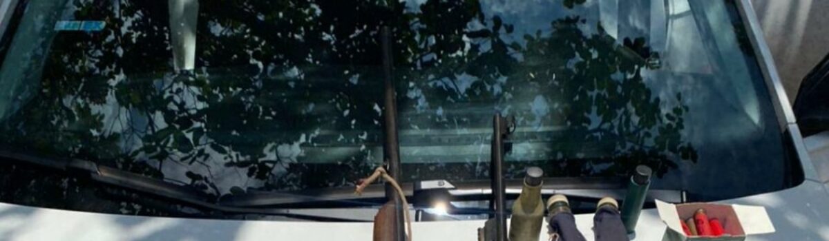 PCGO prende homem por violência doméstica e posse de armas de fogo em Niquelândia