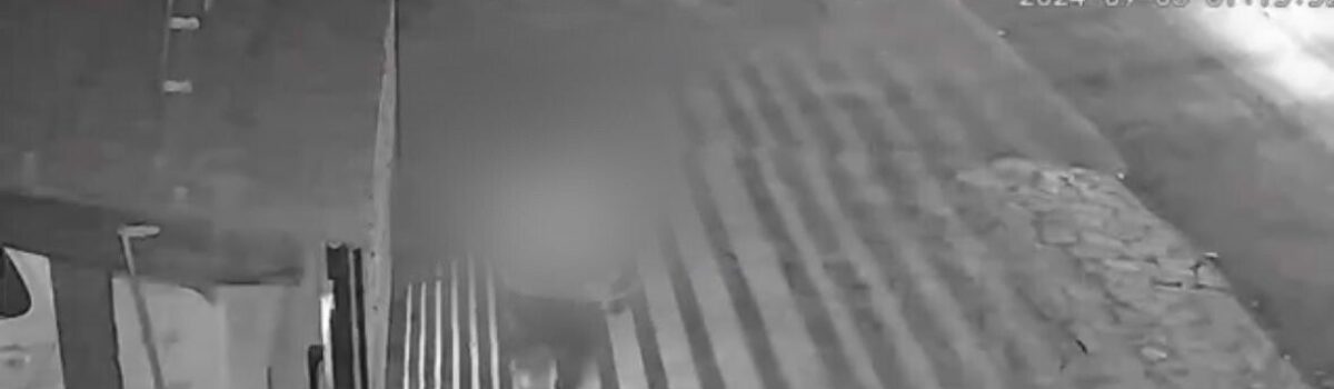 PCGO cumpre prisão preventiva de investigado por furtar dezenas de casas e comércios em Formosa