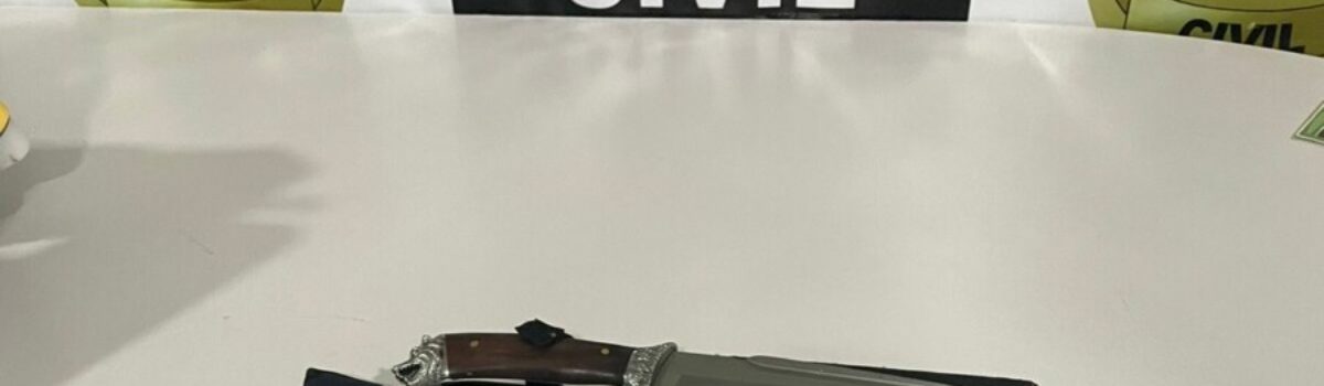 PCGO e Guarda Municipal prendem suspeito por portar arma e munições e fazer disparos, em Cristalina