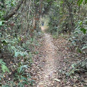 Polícia Civil prende dois homens foragidos por homicídio contra vítima de Caldas Novas