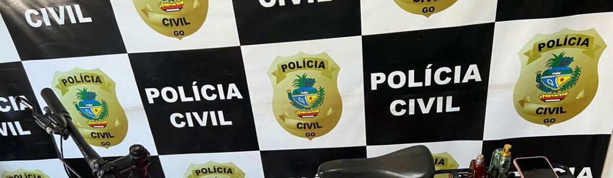 PC prende autor de furto e restitui bens à vítima, em Posse