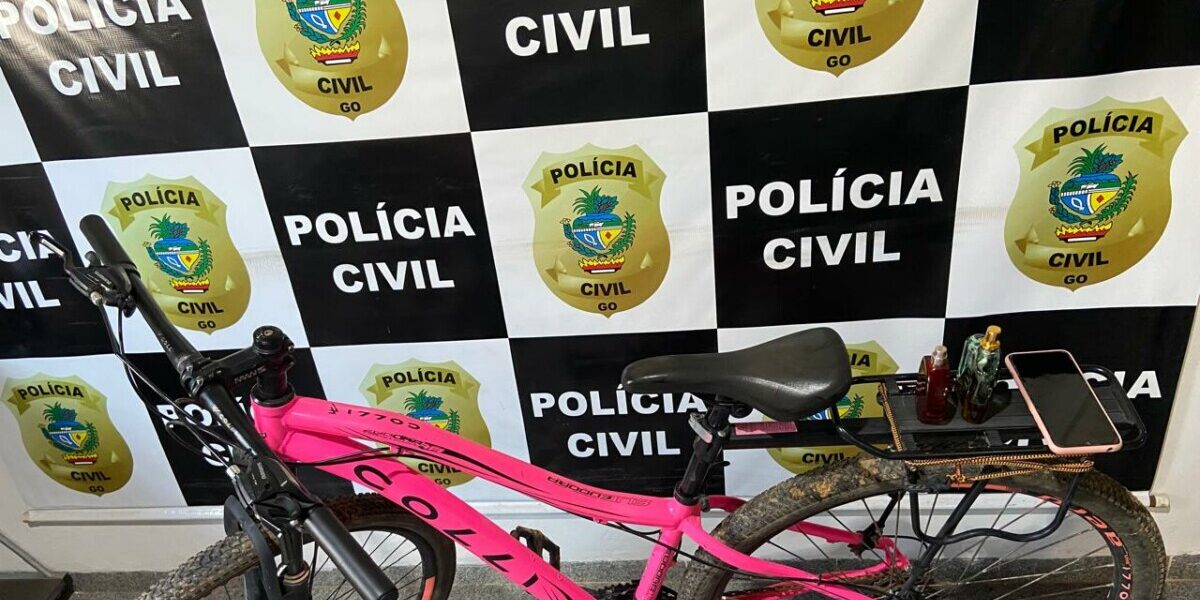 PC prende autor de furto e restitui bens à vítima, em Posse