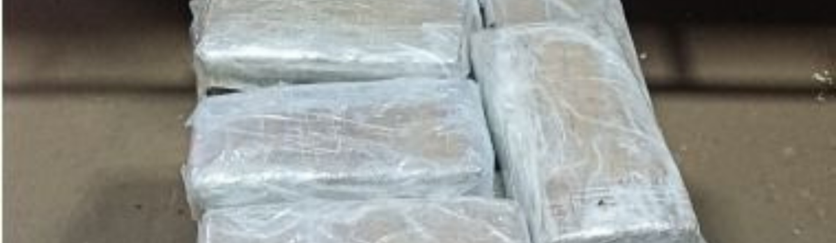 PCGO prende homem que despachou mais de 40 quilogramas de ‘super maconha’ em caminhão cegonha