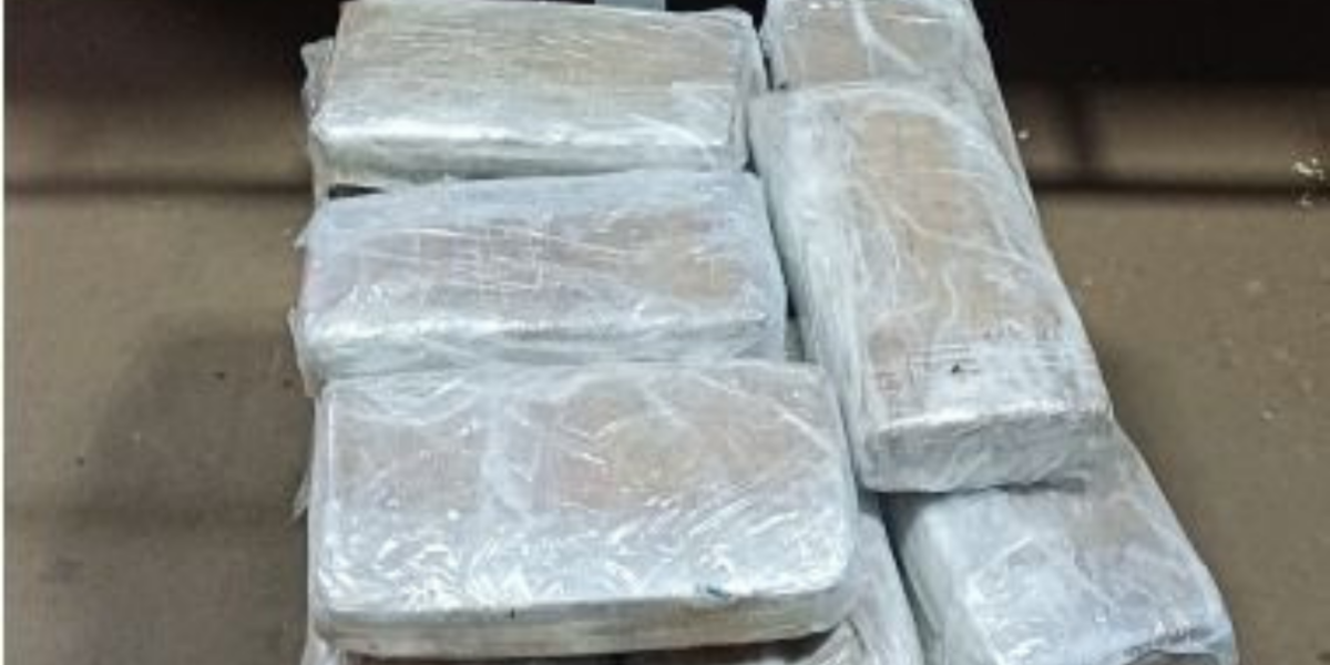 PCGO prende homem que despachou mais de 40 quilogramas de ‘super maconha’ em caminhão cegonha