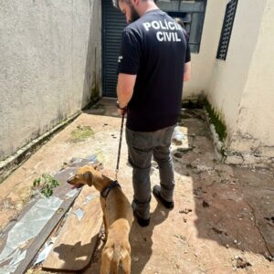PCGO prende homem que tentou despistar policiais após equipe encontrar cachorro em condições precárias
