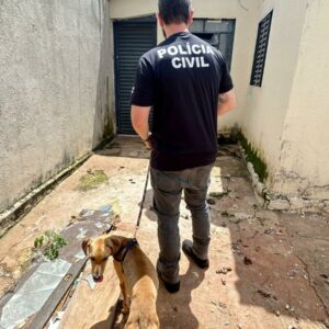 PCGO prende homem que tentou despistar policiais após equipe encontrar cachorro em condições precárias
