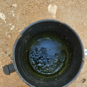 PCGO prende homem que tentou despistar policiais após equipe encontrar cachorro em condições precárias