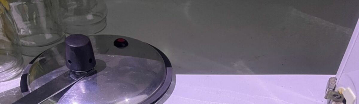 Duplicata: PCGO desmantela grupo criminoso dedicado ao tráfico interestadual de drogas