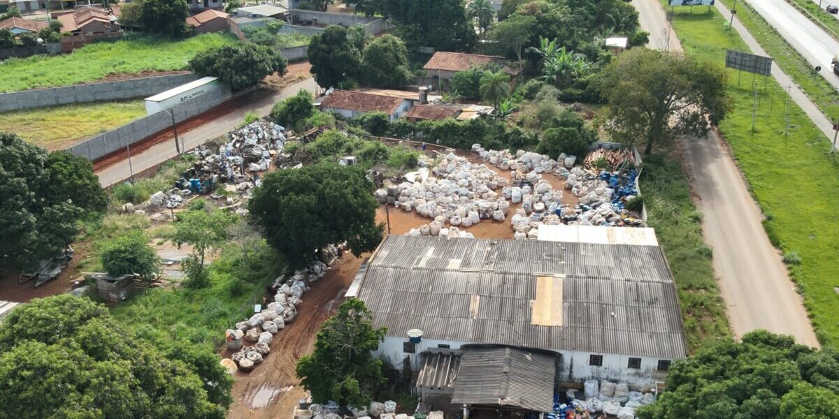 Terra Limpa: PCGO apreende 25 toneladas de recipientes de defensivos agrícolas e prende suspeitos em flagrante