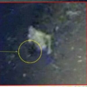 PCGO e PCDF prendem investigado por homicídio ocorrido em Valparaíso