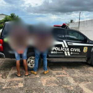 Investigados por furtos na zona rural de Posse são presos após operação da PCGO