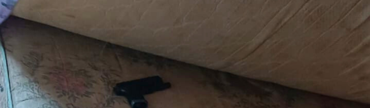 PCGO apreende arma de fogo utilizada por homem para ameaçar ex após término