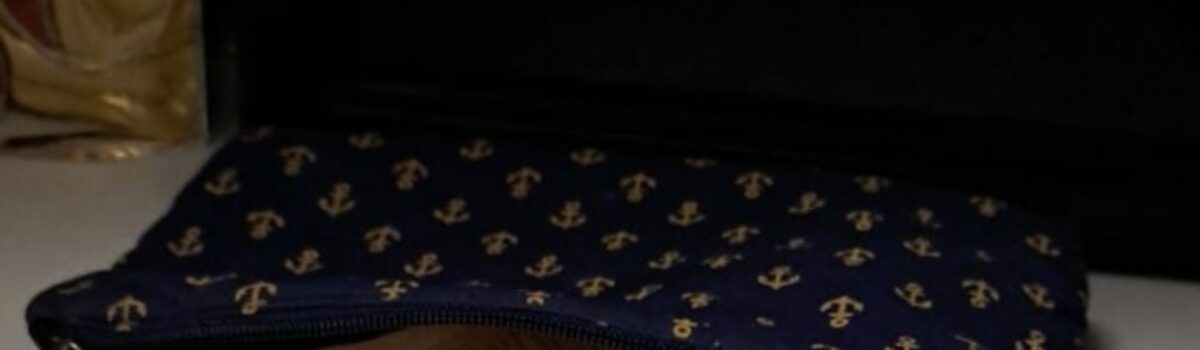 Operação Old Games: PCGO cumpre 40 ordens judiciais contra a jogatina e lavagem de dinheiro