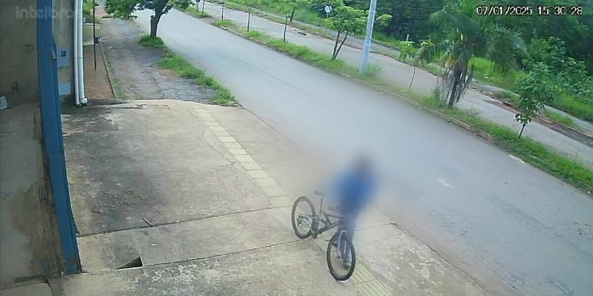 Homem é preso em flagrante após furtar carteira com dinheiro, de dentro de carro, em Niquelândia