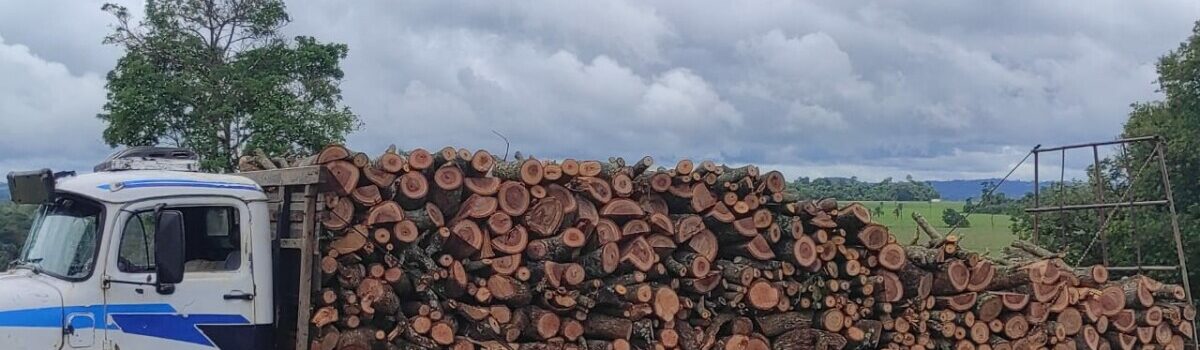 Operação conjunta apreende carregamento oriundo de extração ilegal de madeira em Santa Rosa de Goiás