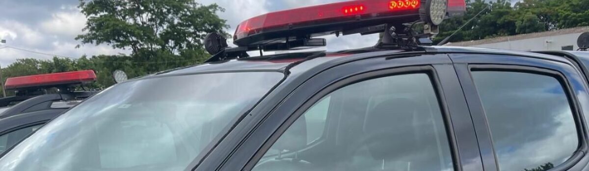 Após troca de informações entre delegacias de Rio Verde e Itumbiara, homem é preso por violência doméstica