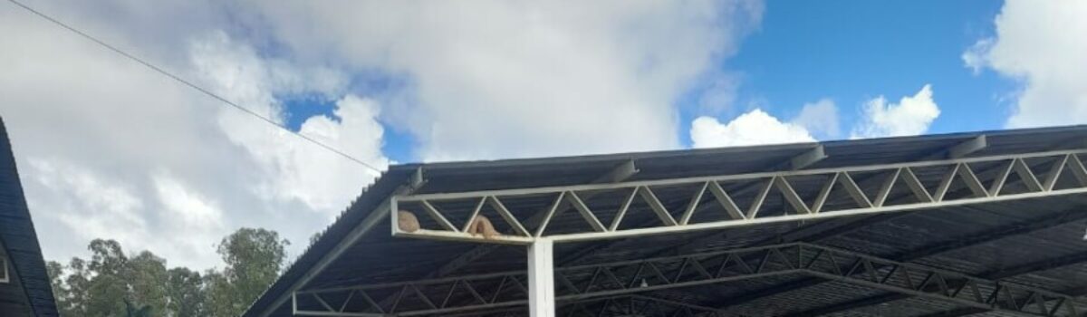 PCGO presta apoio na Cavalgada de Niquelândia