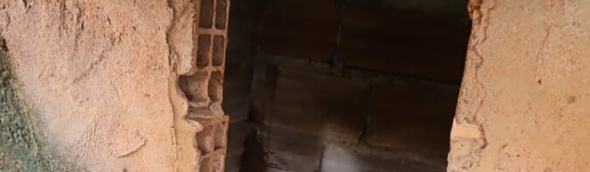 PCGO prende duas pessoas por abandonarem cachorro, no Setor Capuava