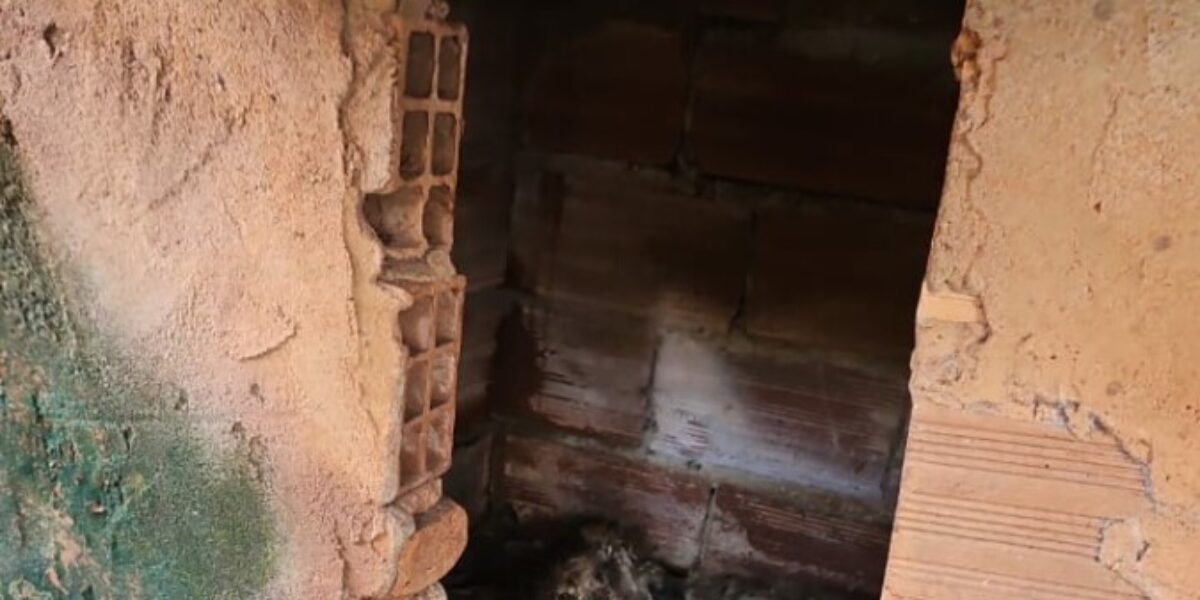 PCGO prende duas pessoas por abandonarem cachorro, no Setor Capuava