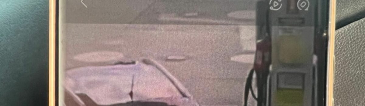 PCGO prende autor por furtar objetos deixados dentro de veículos, em Goiânia