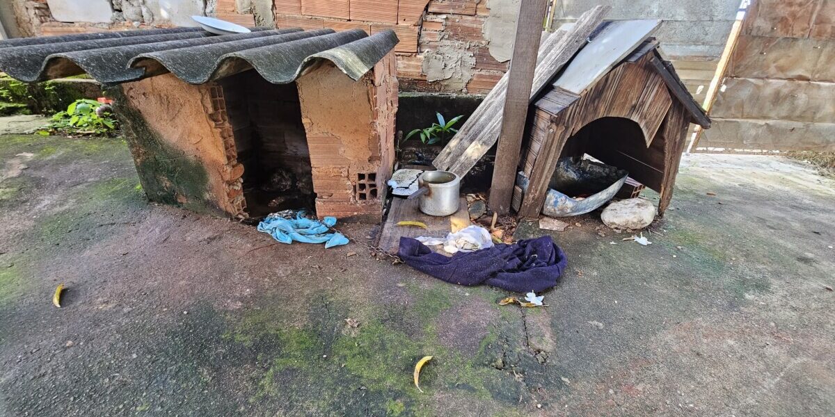 Polícia Civil investiga tutoras por maus-tratos que podem ter ocasionado a morte de cachorro, em Goiânia