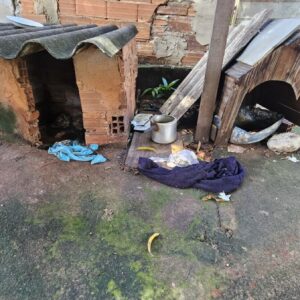 Polícia Civil investiga tutoras por maus-tratos animais que podem ter ocasionado a morte de