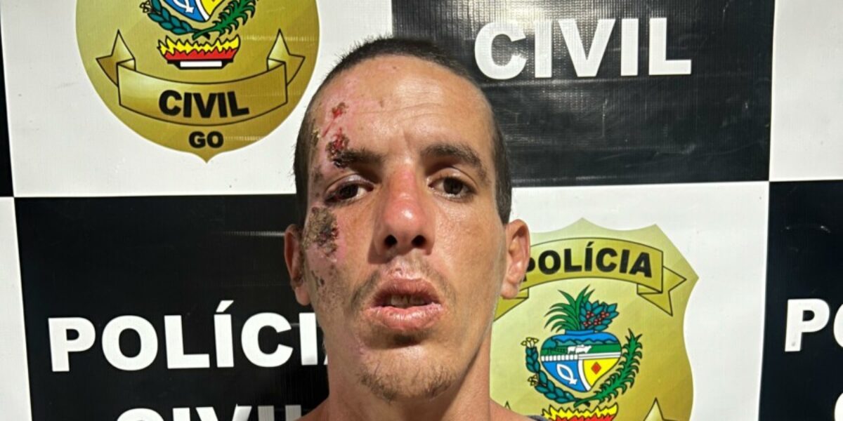 Autor de furtos diversos registrados em Uruaçu é preso preventivamente pela PCGO