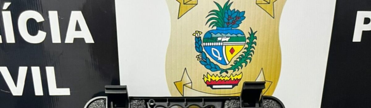 PCGO prende em flagrante autor de violência doméstica na posse ilegal de arma de uso restrito