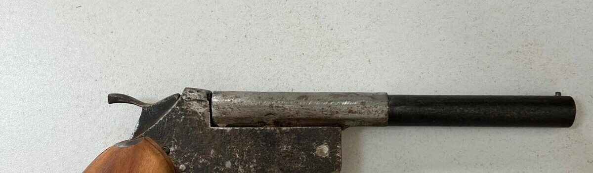 PCGO prende suspeito por posse ilegal de arma, desobediência e ameaça, em Vianópolis