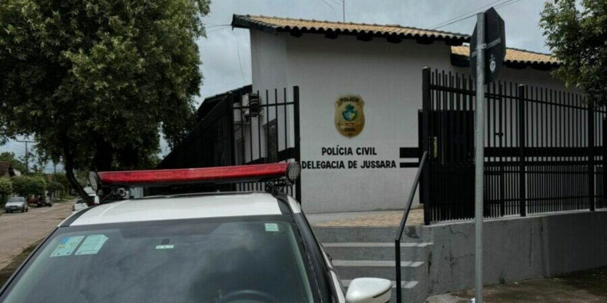 PCGO prende suspeito de furtar celular, divulgar imagens e coagir vítima a enviar mais fotos