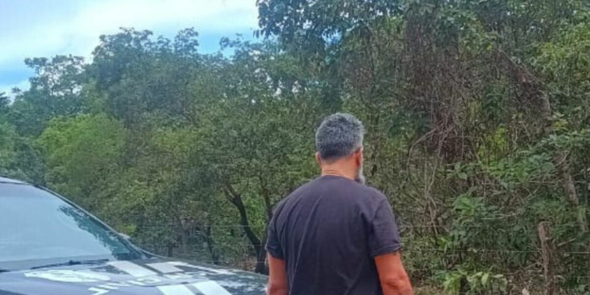 Crime ambiental: PCGO localiza vaca descartada irregularmente na zona rural de Niquelândia