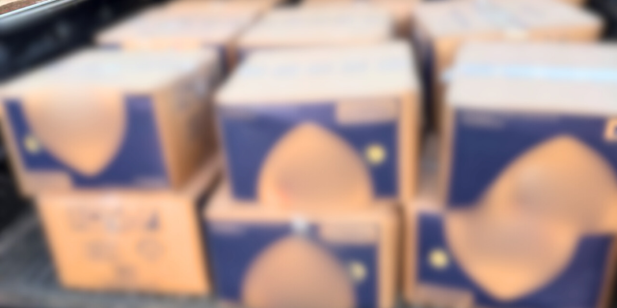 ‘Fiducia Rupta’: PCGO desmantela associação criminosa responsável por furtos em distribuidora de alimentos em Aparecida de Goiânia