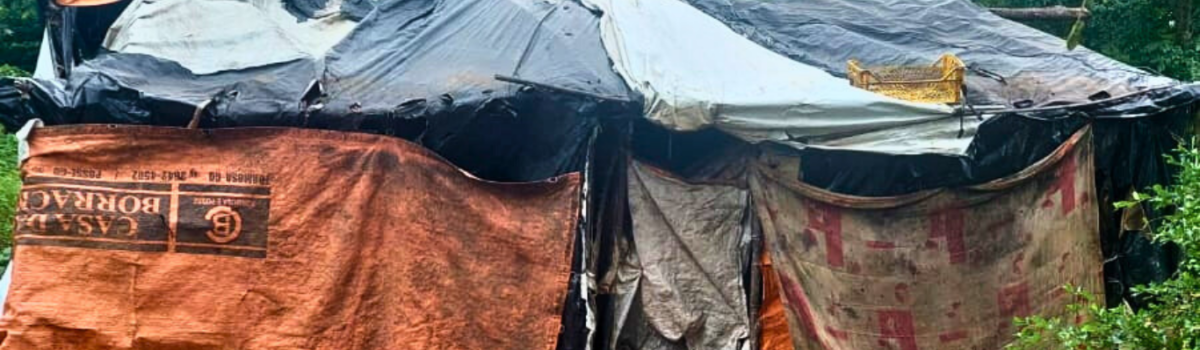 PCGO prende em flagrante homem que tentou matar companheira em Flores de Goiás