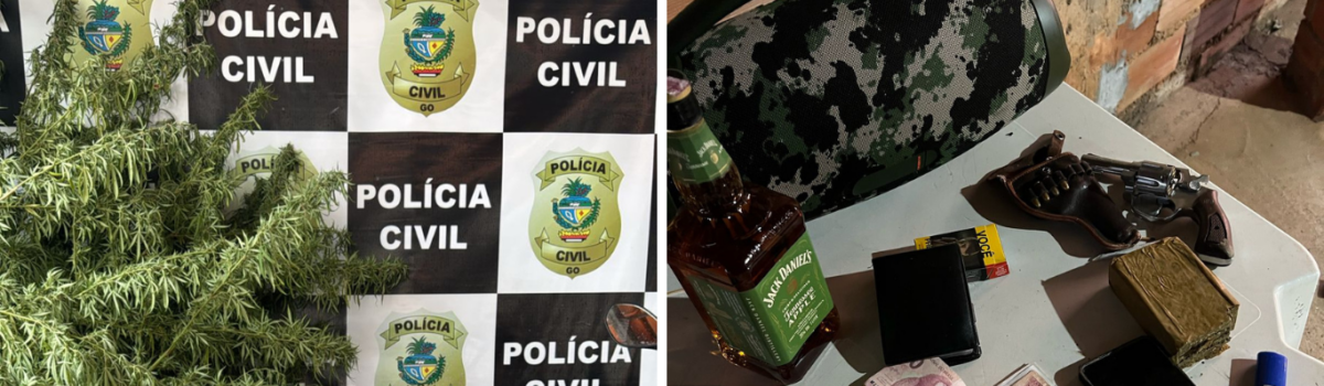 ‘Cerco Fechado’: PCGO desarticula associação criminosa de tráfico em Santa Bárbara e apreende drogas, carros e armas