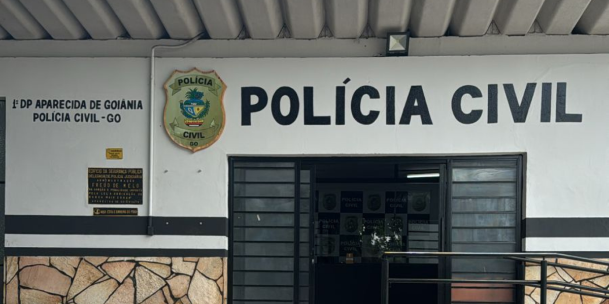 PCGO prende homem em flagrante com mercadoria de roupas adquirida em golpe que causou prejuízo de R$ 50 mil