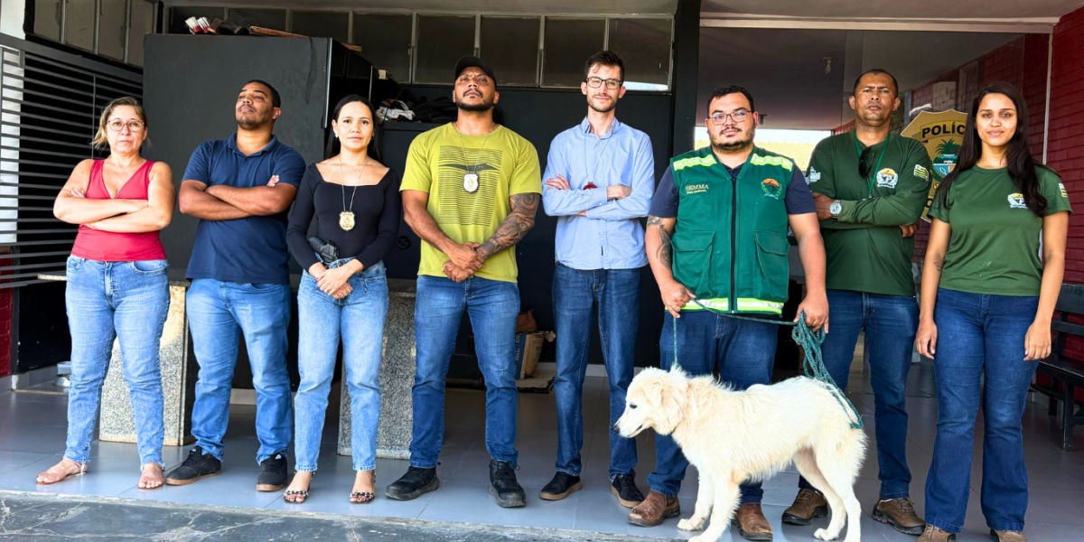 PCGO resgata cachorro amarrado sob sol escaldante, sem água e comida, em Porangatu